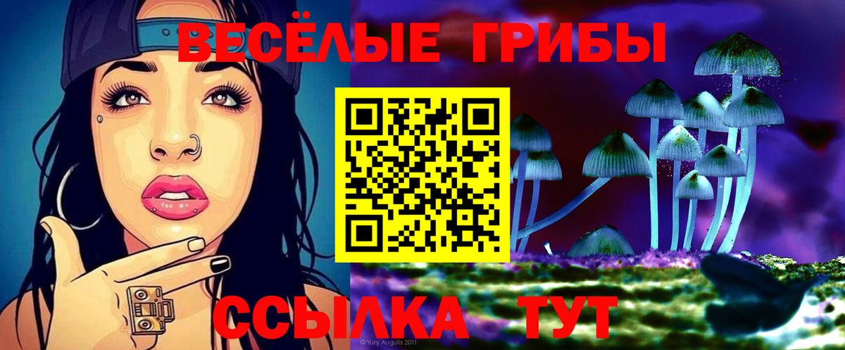 Псилоцибиновые грибы Cubensis  Вход с VPN  Фролово  Псилоцибиновые грибы Cubensis 